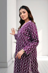 Midnight Star Two-Piece Chikankari Suit