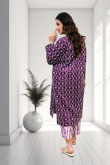 Midnight Star Two-Piece Chikankari Suit